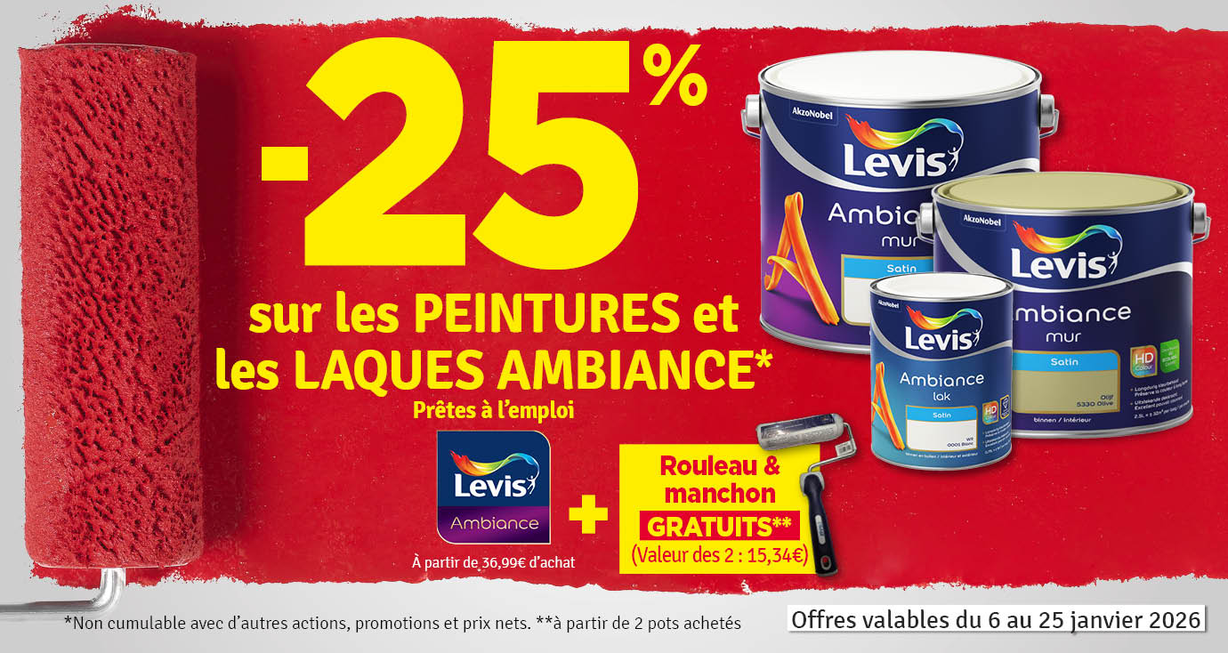 25% sur les peintures Ambiance LEVIS
